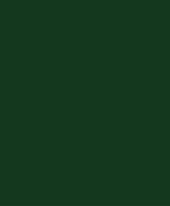 VE6005B00 - Verde Brilhante